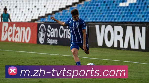 体育下注平台生态图